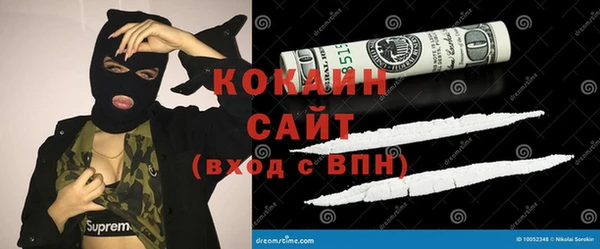тгк Абаза