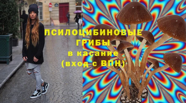 тгк Абаза