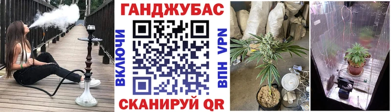 Шишки марихуана сатива  KRAKEN онион  Остров 
